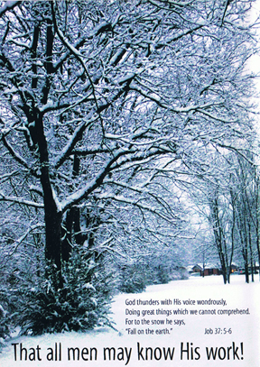 SnowWalkWithVerseWeb